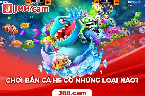 Chơi bắn cá H5 có những loại nào? Chơi bắn cá H5 có những loại nào?