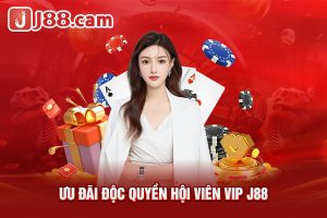 Ưu đãi độc quyền hội viên VIP